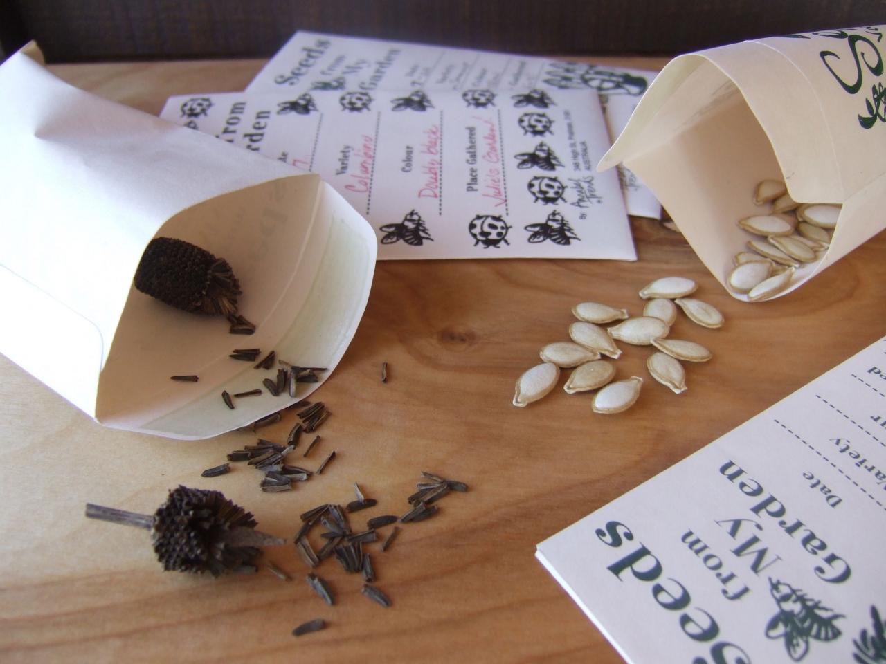Image of seeds coming out of a paper packet.