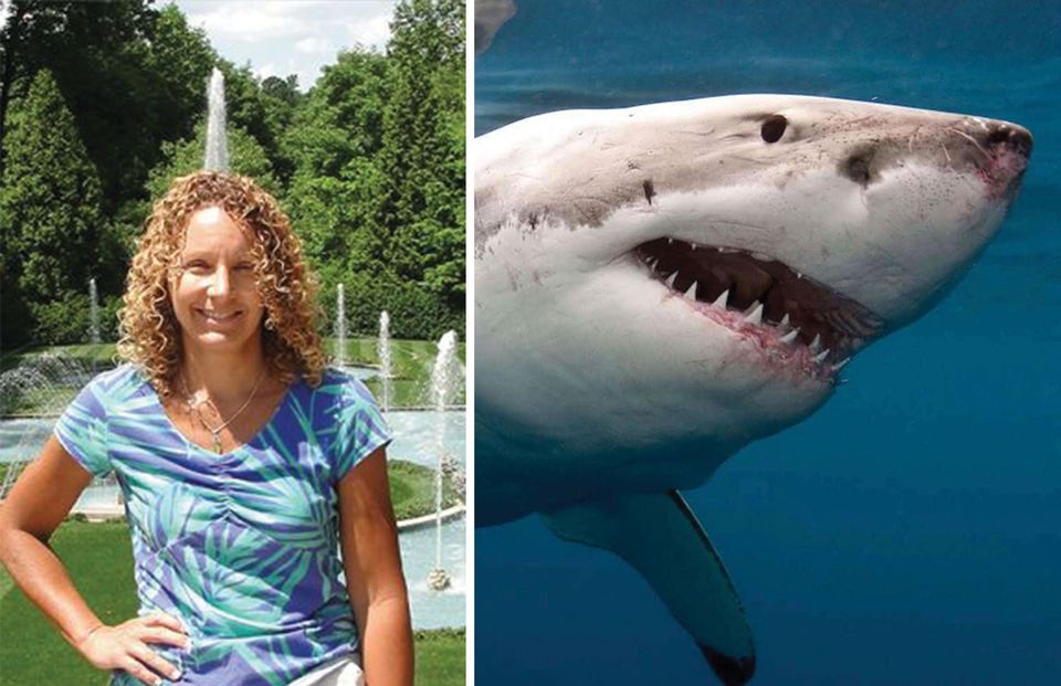 A photo of Dr. Sue Raylman next to an image of a great white shark.