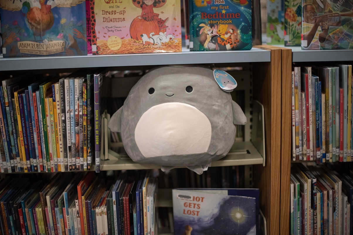 A shark squishmallow on a bookshelf.